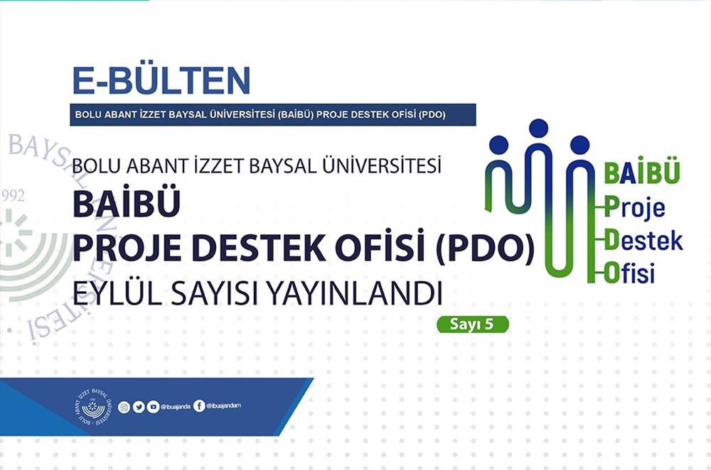 5. Sayı